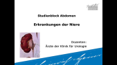 thumbnail of medium SB Abdomen - Niere Teil 1